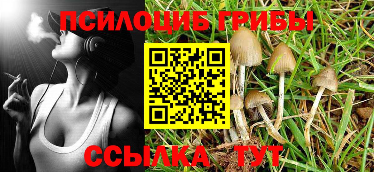 Галлюциногенные грибы мухоморы Ярославль